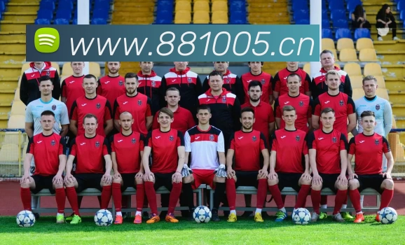 爱游戏 - 中国一站式体育服务官网发展历程